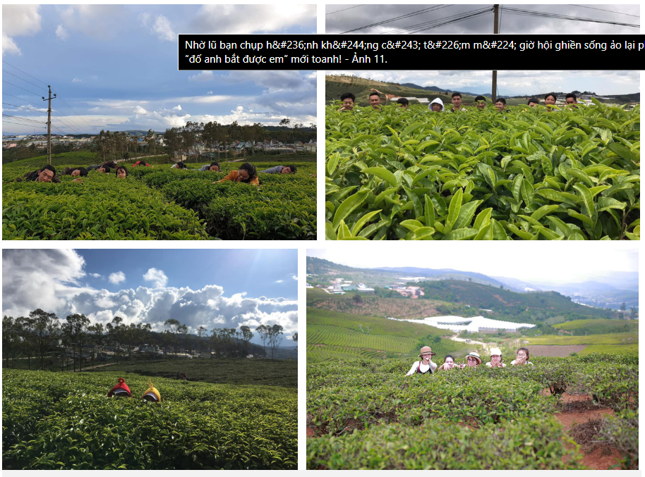 Khi chụp hình không có tâm lại thành trend chụp ảnh “đố anh bắt được em” hot không tả được