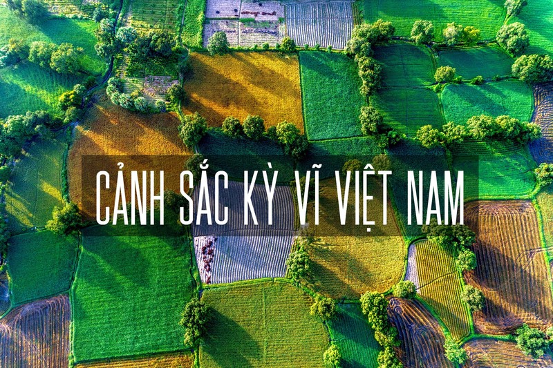 4 khoảnh khắc đến từ Việt Nam lọt vào top 50 danh giá của cuộc thi nhiếp ảnh AGORA Awards 2019