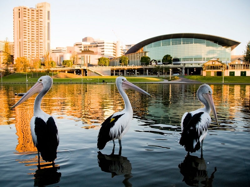 Những thành phố đáng sống nhất thế giới