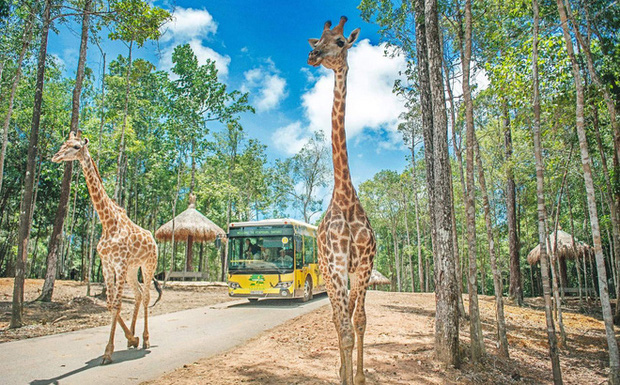 TIN HOT - Vinpearl muốn làm khu du lịch sinh thái Vinpearl Safari hơn 1.100 ha ở Hạ Long