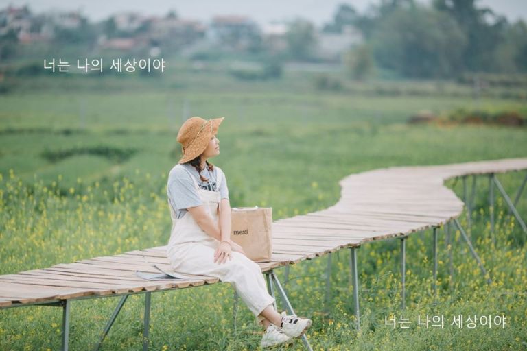 Phát hiện vườn hoa rực rở ở Đường Lâm cổ trấn đẹp lung linh