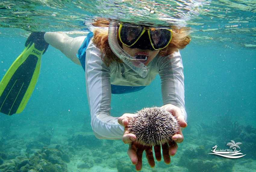 Hãy tới Hạ Long, Nha Trang, Quy Nhơn... để trải nghiệm kỳ nghỉ  của bạn thật sôi động